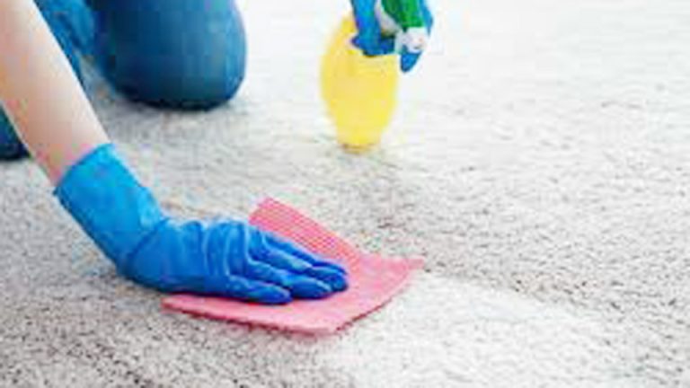 How-to-Make-DIY-Carpet-Cleaner.jpg
