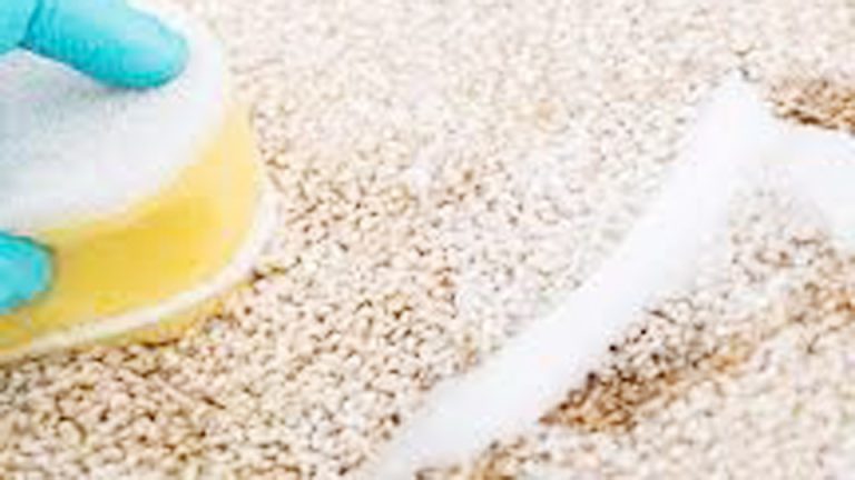 What Is the Best Homemade Carpet Cleaner?