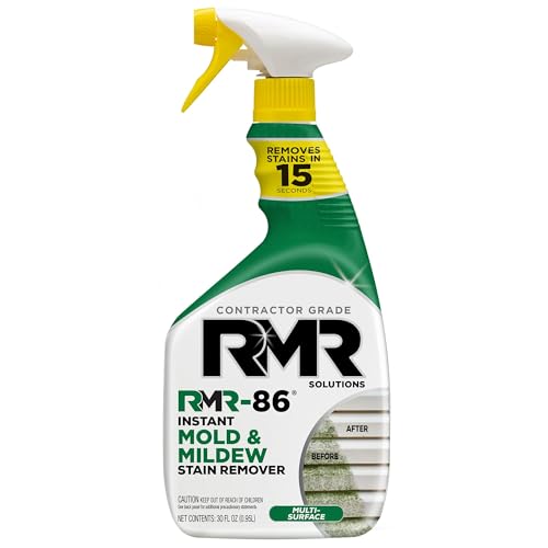 Best Bathroom Mold Remover 2025