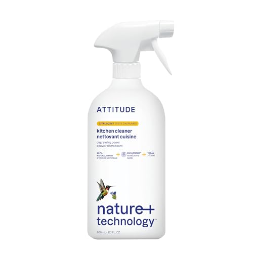 Best Eco-Friendly Kitchen Cleaning Solution