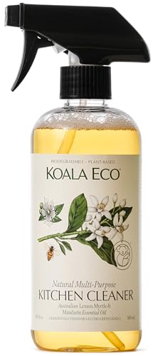 Top 10 Eco Friendly Kitchen Cleaning Products