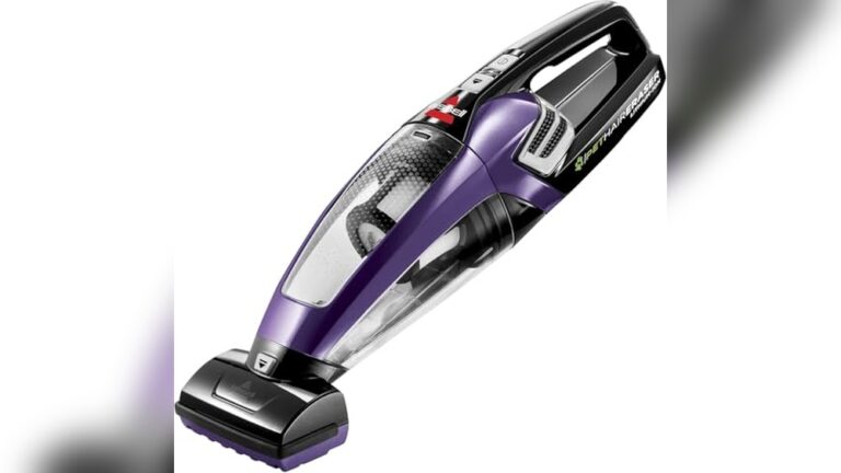 Best Handheld Vacuum for Pet Hair
