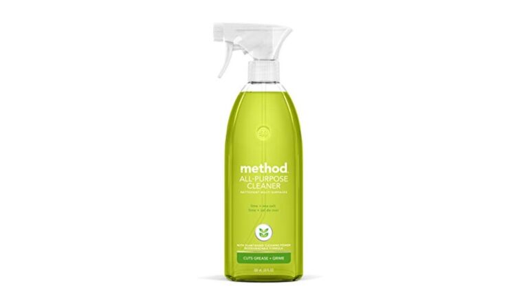 Best Non-Toxic All Purpose Cleaner