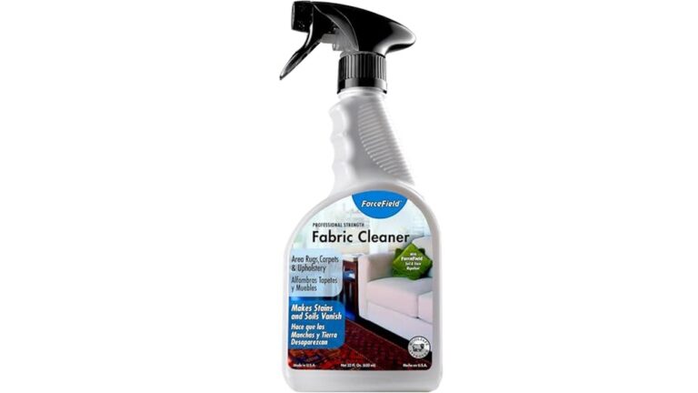 Best Spot Cleaner for Fabric Couch
