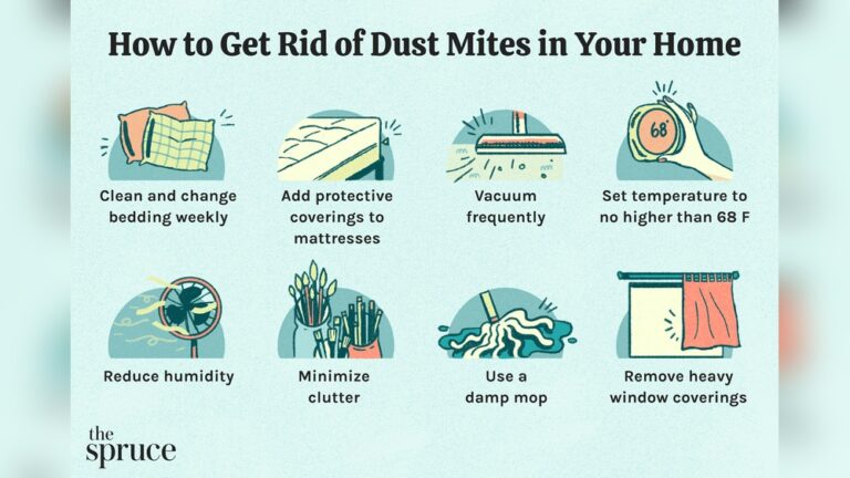 How to Get Rid of Dust Mites in Bedroom
